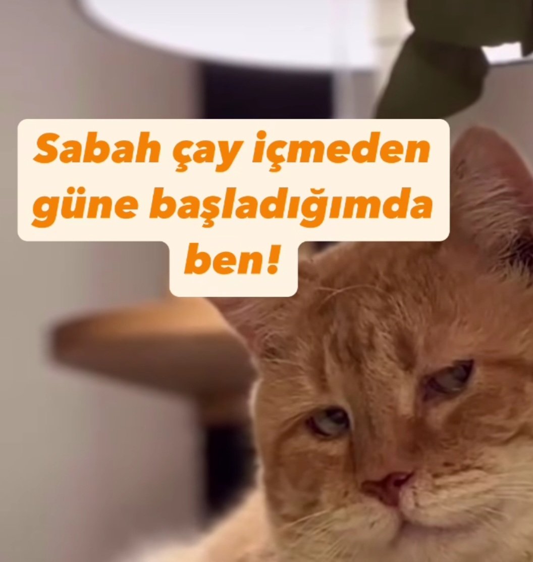 rgok35's tweet image. Çaysız güne başlayınca benim eşqal😼 #salı #thuesday