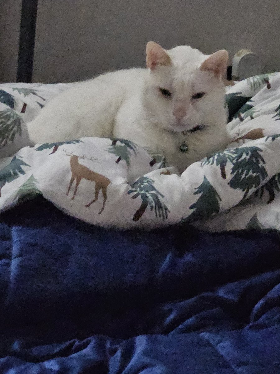 He was not happy  to have his pic taken