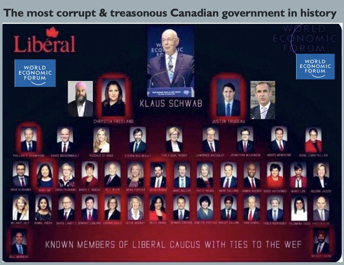 Brent G. 🇨🇦 🇺🇸 tweet media