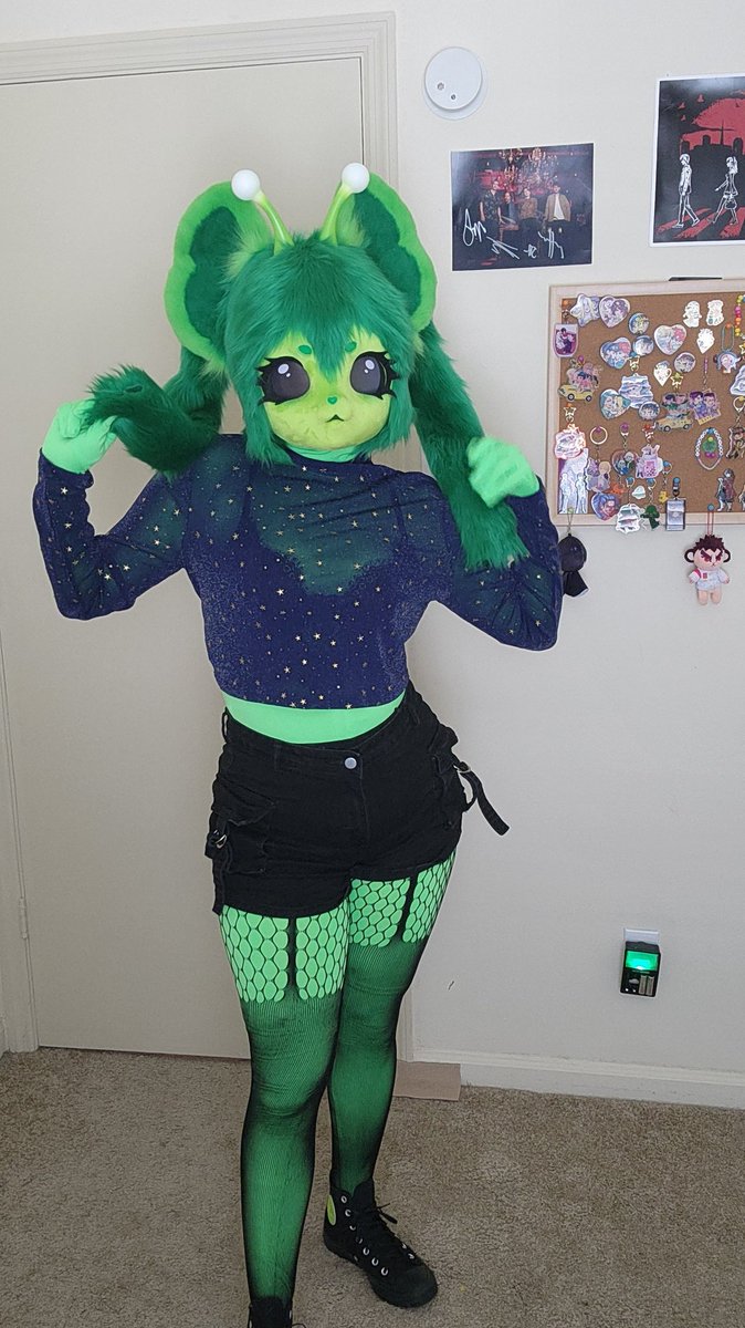 Devioka00's tweet image. Hehe~
#fursuit #kigufur #aliencat