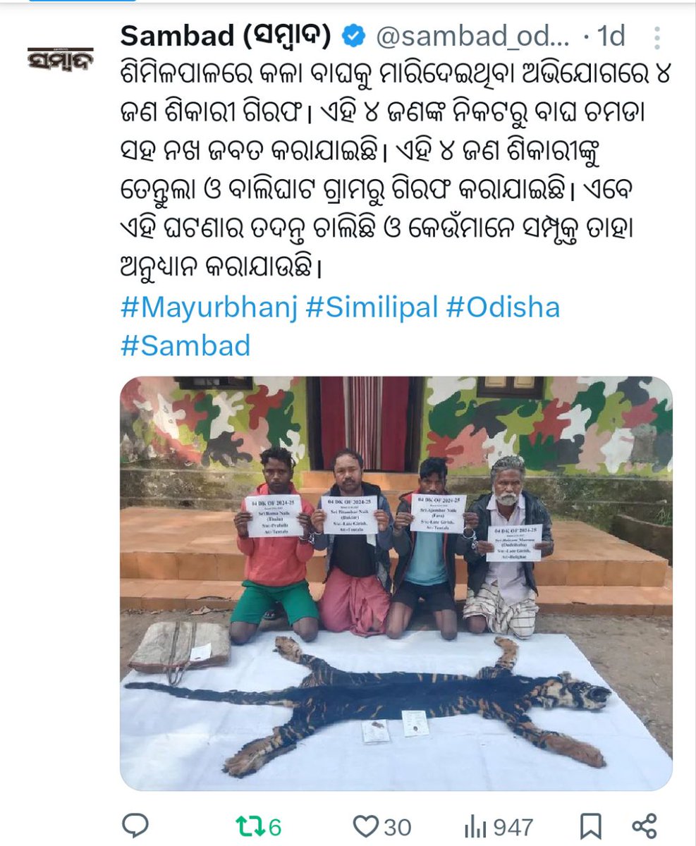 SuklaJiFamily's tweet photo. ବିରଳ କଳା ବାଘ କୁ ବି ଛାଡିଲେନି
ବନ ବିଭାଗ ରେ କର୍ମଚାରୀ ଅଭାବ କି?
Insufficient Manpower is the main cause?💥Hope Govt Will Accelerate &amp; Fasten the Recruitment process of Forestguard, Forester, LSI Conducted By OSSSC .🙏 #odisha #forest #forestguard #osssc #forester #LSI @CMO_Odisha https://t.co/0w9HENYu2a