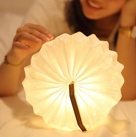 LuminnaLux's tweet photo. Eco-Friendly Night Lights: Illuminate with Purpose

https://t.co/J0N9uPFfAd

#EcoFriendly #SustainableLiving #NightLights #LED #SolarPower #Biodegradable #EnergyEfficiency #GreenHome #HomeDecor #Conservation #PlanetFriendly #EcoDesign #EnvironmentallyFriendly #DecorIdeas https://t.co/wMbNZ4T0Pq