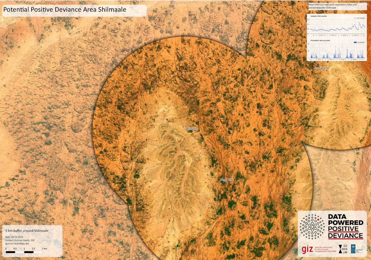 Dealing with Drought: Lessons from #Somali  Pastoralists

What makes some Somali pastoralists more resilient than others? A new <a href="/UNDP/">UN Development</a> study sheds light on how "positive deviant" communities in Somaliland successfully maintain healthier rangelands even during severe droughts.