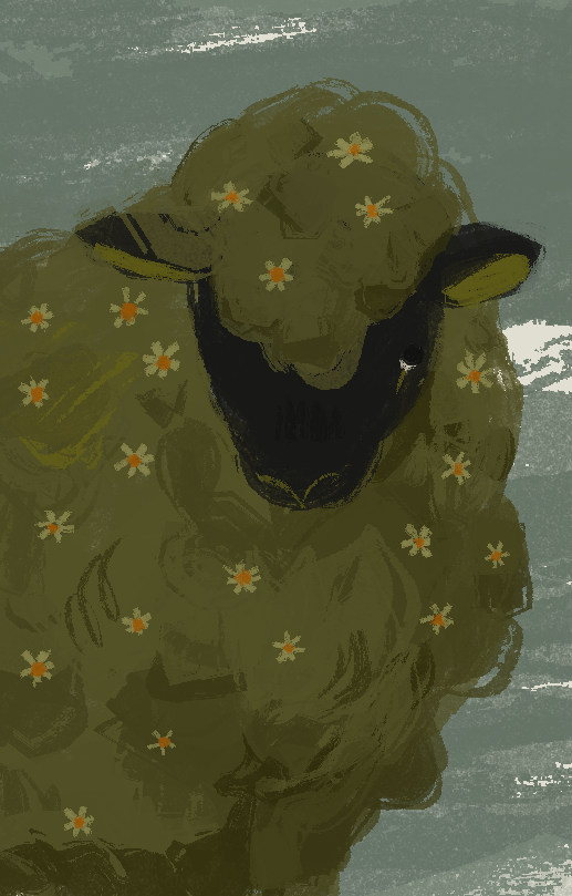 🐑🌼