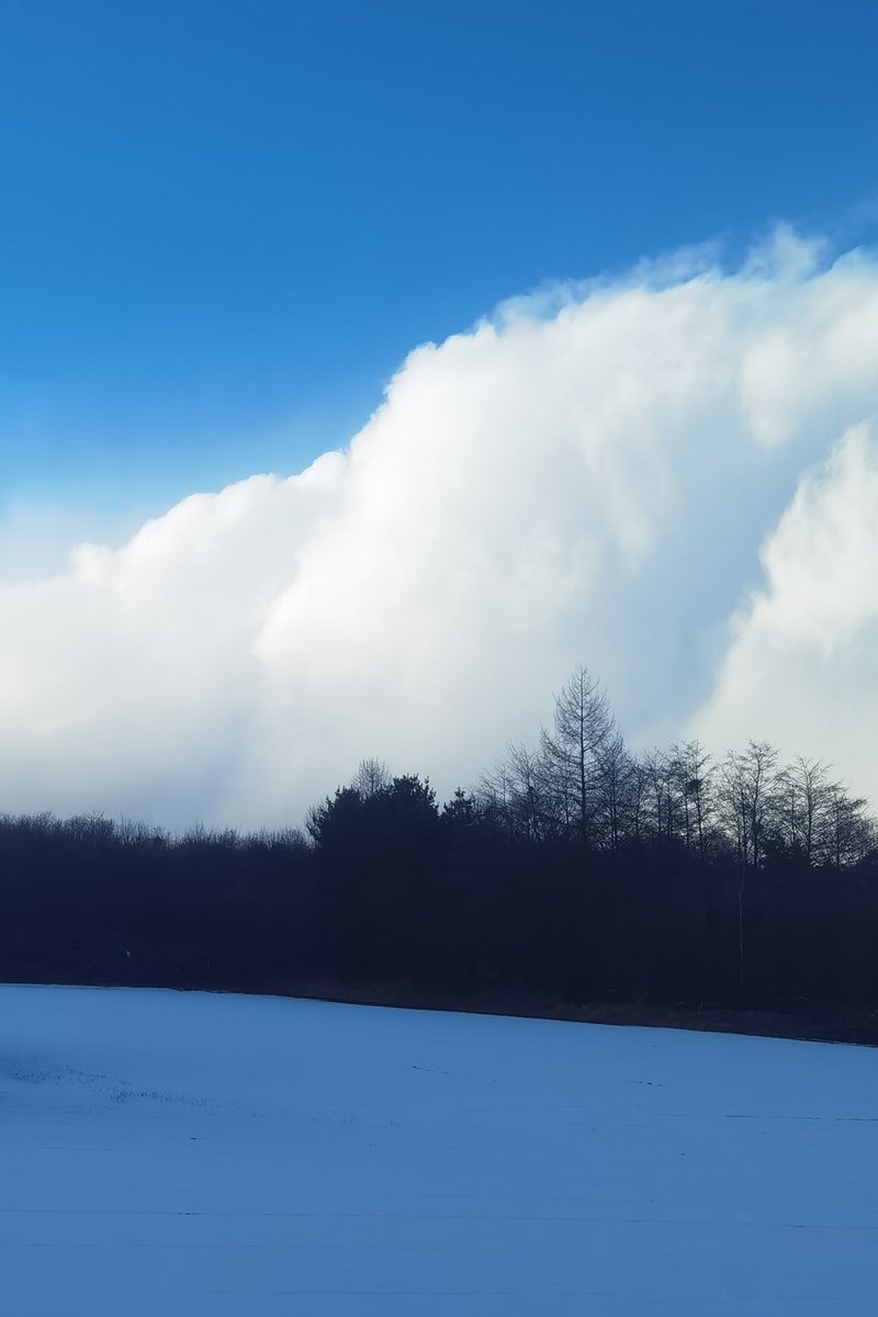 交出小鱼干 (@yugan_robber) on Twitter photo 雪山般的云☁️🏔 雪山般的云☁️🏔