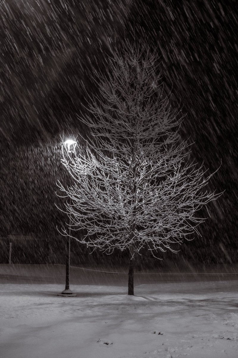 LoganRourke's tweet photo. Some pictures of the snow https://t.co/oIQRW41fQz