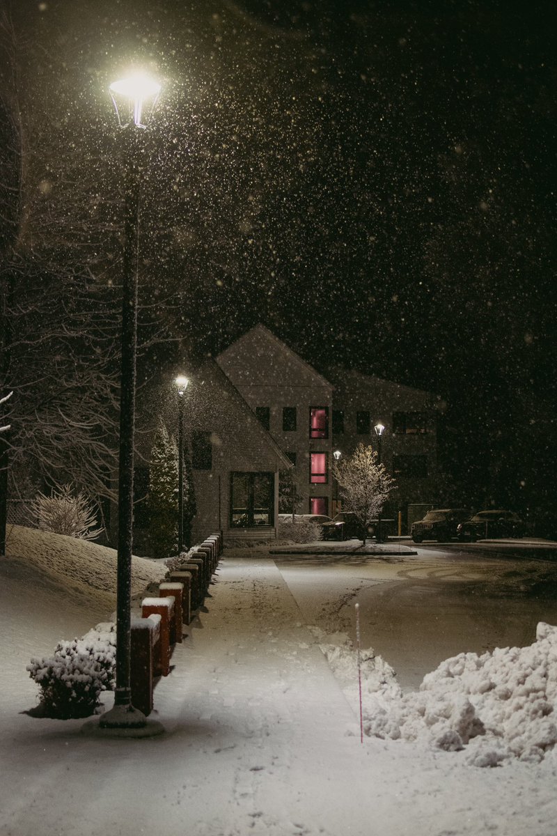 LoganRourke's tweet photo. Some pictures of the snow https://t.co/oIQRW41fQz