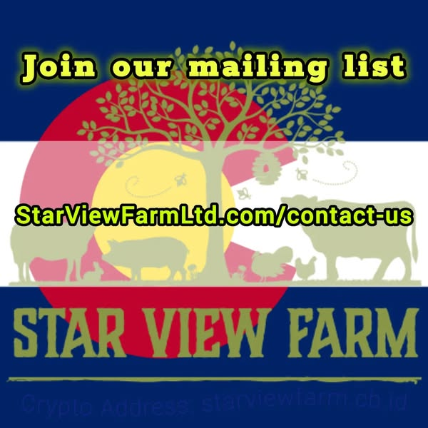StarViewCrypto's tweet image. We want to clear some freezer space and that means we have great deals on everything in them!
All instock pork is on sale.
StarViewFarmLtd.com
#StarViewFarmLimited #StarViewFarmLtd #StarViewFarm #StarViewFarms #StarViewGenetics #StarViewNaturalFoods #ColoradoProud