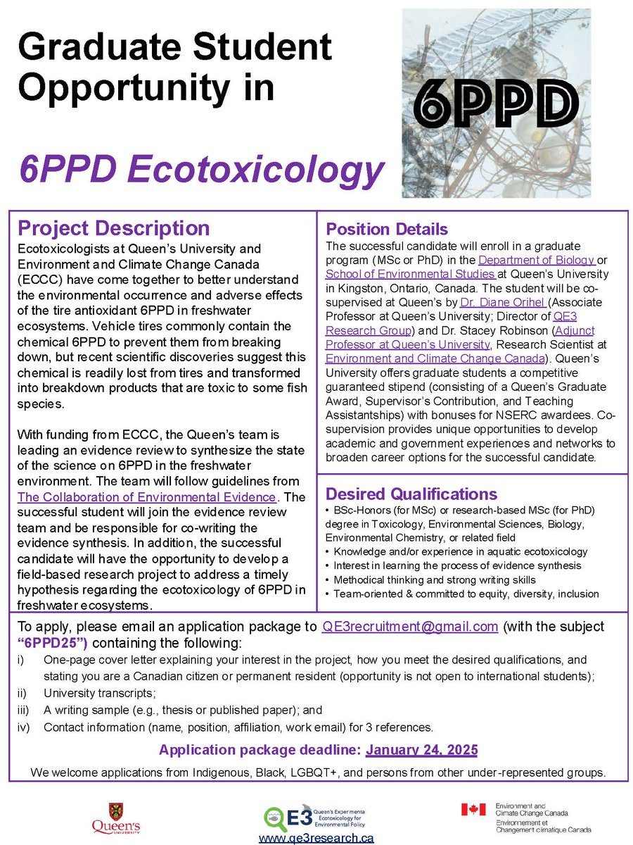 Diane Orihel (@dianeorihel) on Twitter photo Looking for a MSc or PhD position in #ecotoxicology? Opportunity <a href="/queensu/">Queen's University</a> for an ambitious Canadian student to study the tire antioxidant #6PPD as part of a collaborative research project with <a href="/ECCCSciTech/">ECCC SciTech</a>. Apply now! Deadline is this Friday, January 24, 2025. Looking for a MSc or PhD position in #ecotoxicology? Opportunity <a href="/queensu/">Queen's University</a> for an ambitious Canadian student to study the tire antioxidant #6PPD as part of a collaborative research project with <a href="/ECCCSciTech/">ECCC SciTech</a>. Apply now! Deadline is this Friday, January 24, 2025.