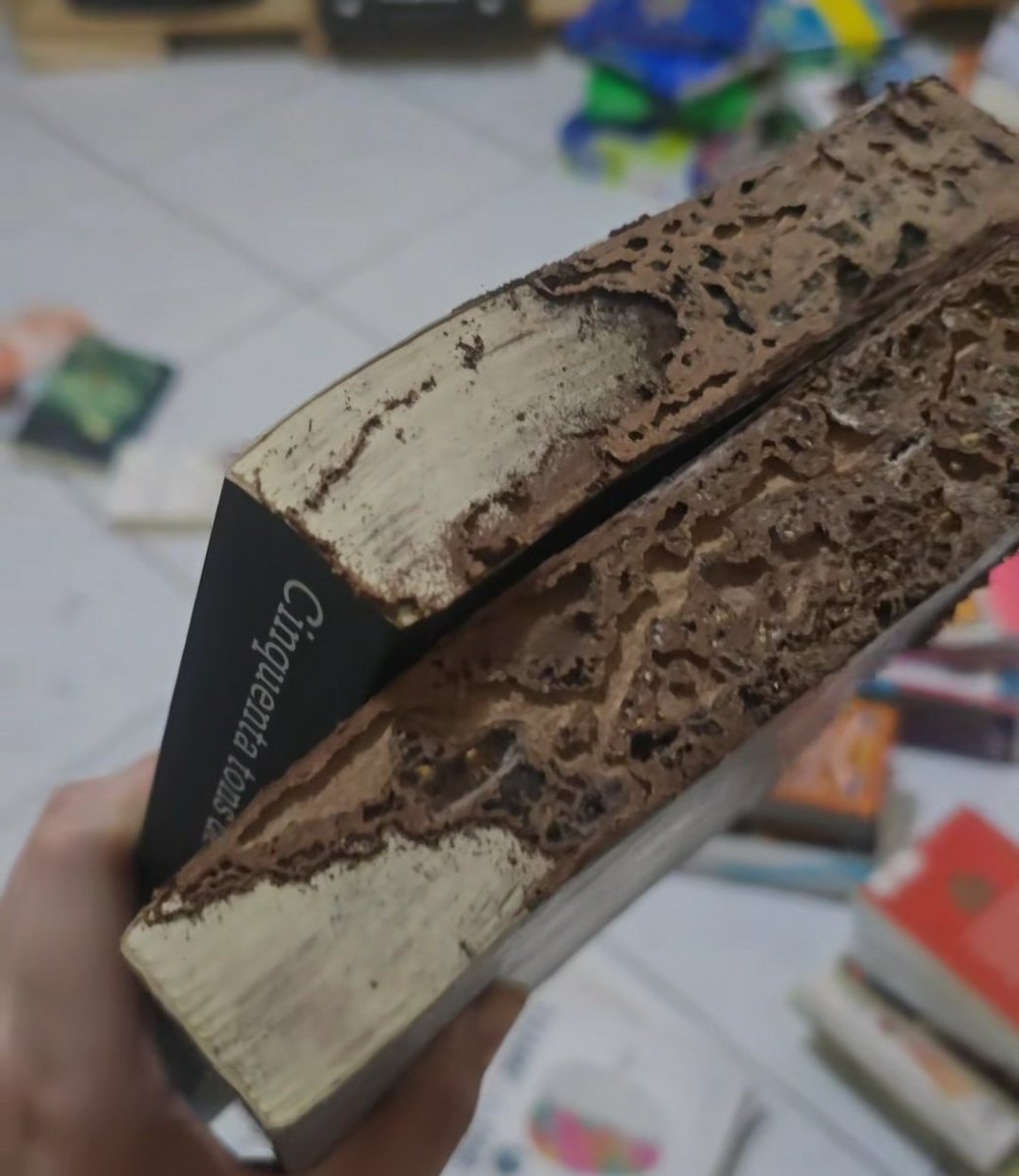 jdrewhails's tweet photo. A situação dos livros da moça cheio de cupim meu deus https://t.co/1LHJRQYufU