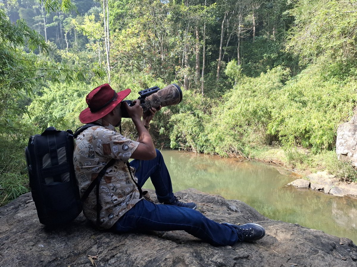 chauchaubhath's tweet image. Set me #musing...

...over the weekend, had been to Vythiri. One of my star students had invited us to her engagement. Evening event.
Used the morning for some birding. Wayanad is an absolute biodiversity Hotspot. Plentitude of flora and fauna. Birds too. Trail through the…