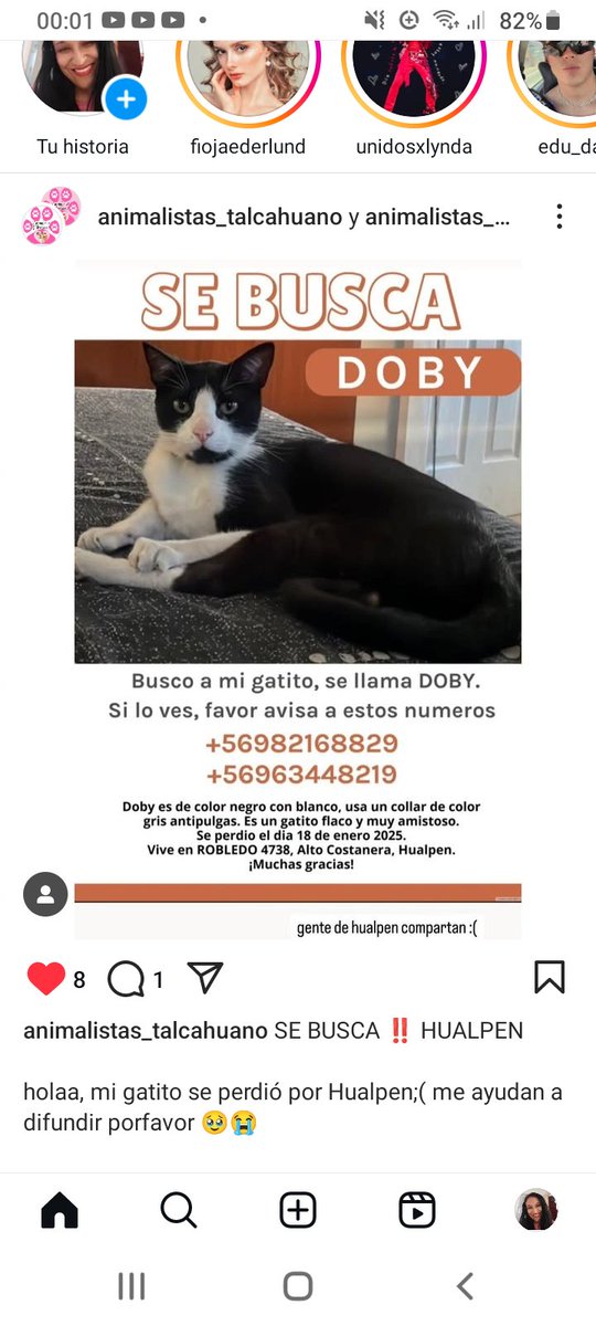 Katherin8782818's tweet image. Se busca #Doby Rt