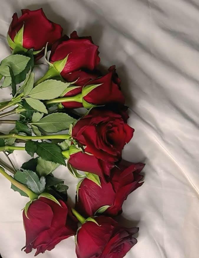 Good morning have a nice day X family 🌅 
#โหนกระแส #Inauguration2025 #shailenzo #PYTHON #sstvi #GOT7_WINTER_HEPTAGON #WINTER_HEPTAGON