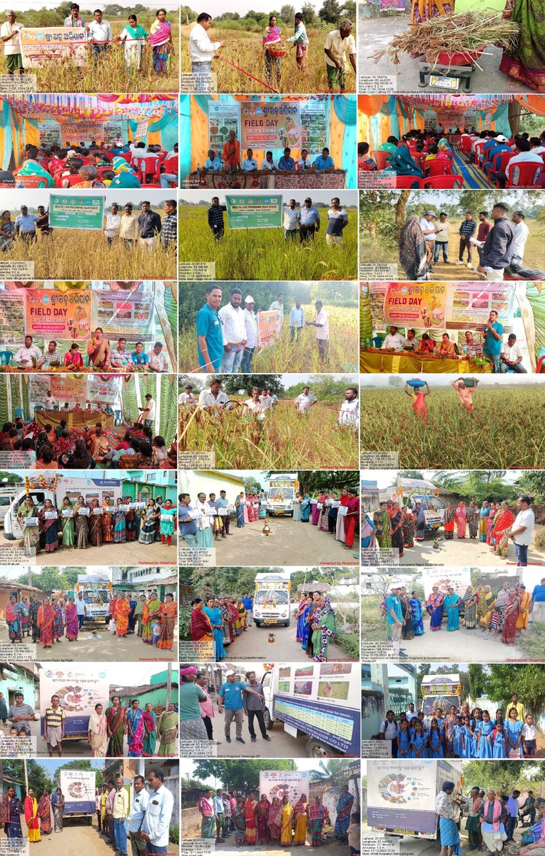 thdkalahandi's tweet photo. Witnessing different activities like Field Day, Awareness on Procurement through massive campaign, CBT on Agronomic Practices, Crop Cutting Experiment (CCE) etc. in Karlamunda block under SSA through JTROFPCL.@DmKalahandi @CdaoKalahandi @MilletsOdisha @Bdokarlamunda @krushibibhag https://t.co/7K6BQdaBEo