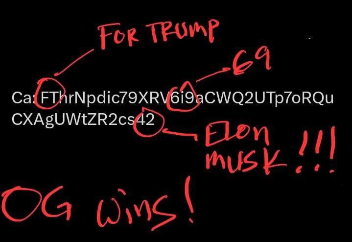 oroKimK's tweet image. 42 executive orders?? 👀

Coincidence or a sign ?🔥🔥

@Kekius_Maximus , the OG contract end with “42” (FThrN…cs42) 

OG contract, 1st on every chain, 4 days older than the ETH Kek 🫶

(Images by our OG KM42 Community)