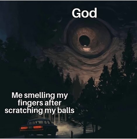 ShitpostGate's tweet image. 