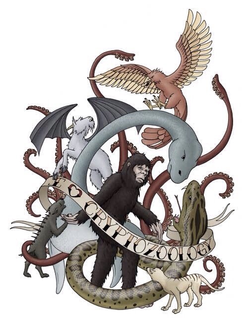 Cryptids And The Unknown (@andcryptids) on Twitter photo 