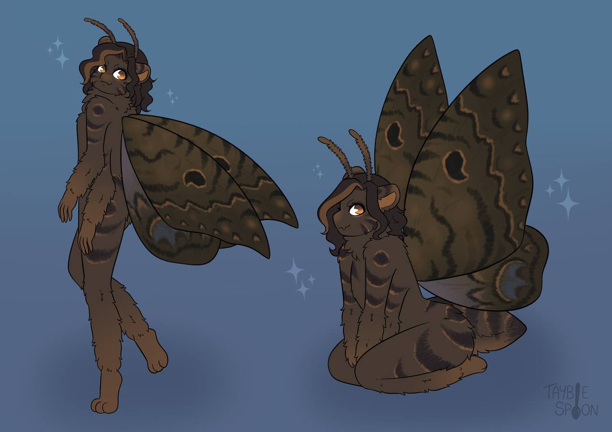 Tayble_spoon's tweet image. Finished moth design for @SweetPyxel !

#mothoc #furrycommission