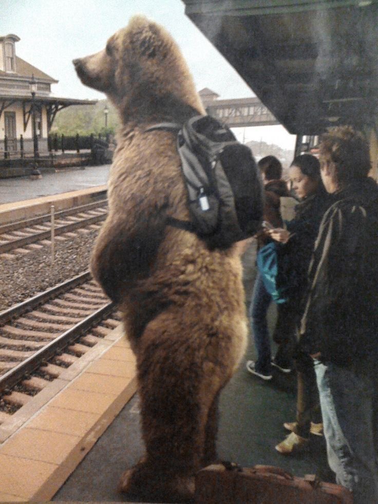 j00nieXxx's tweet photo. photo evidence of me moving to a new country, new identity, actually a whole new species just to end this suffering 😜🤘🏽 https://t.co/CqcIK7AVDn