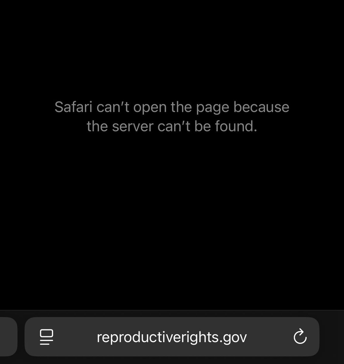 Noelle Acosta tweet media