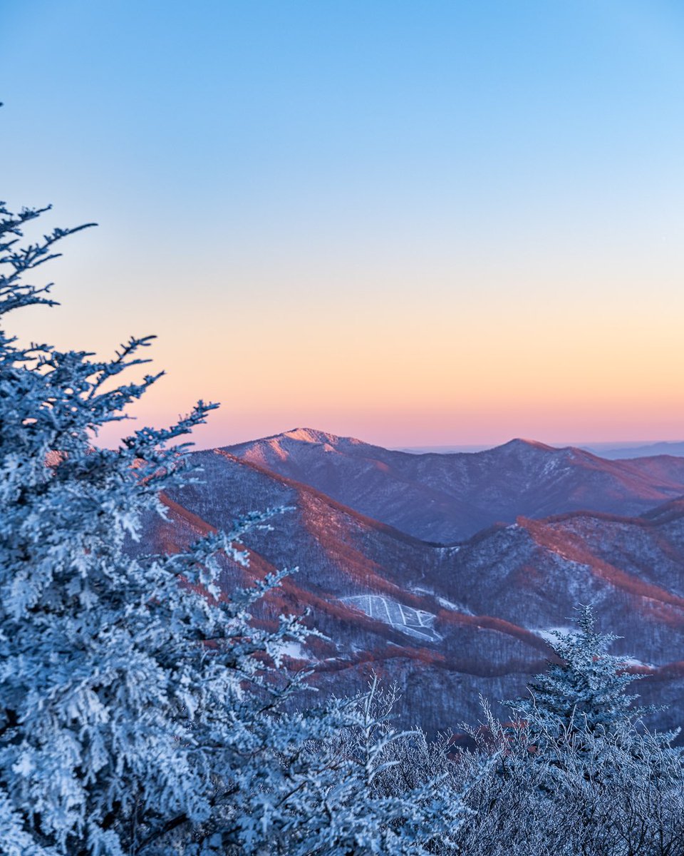 Asheville Pictures tweet media