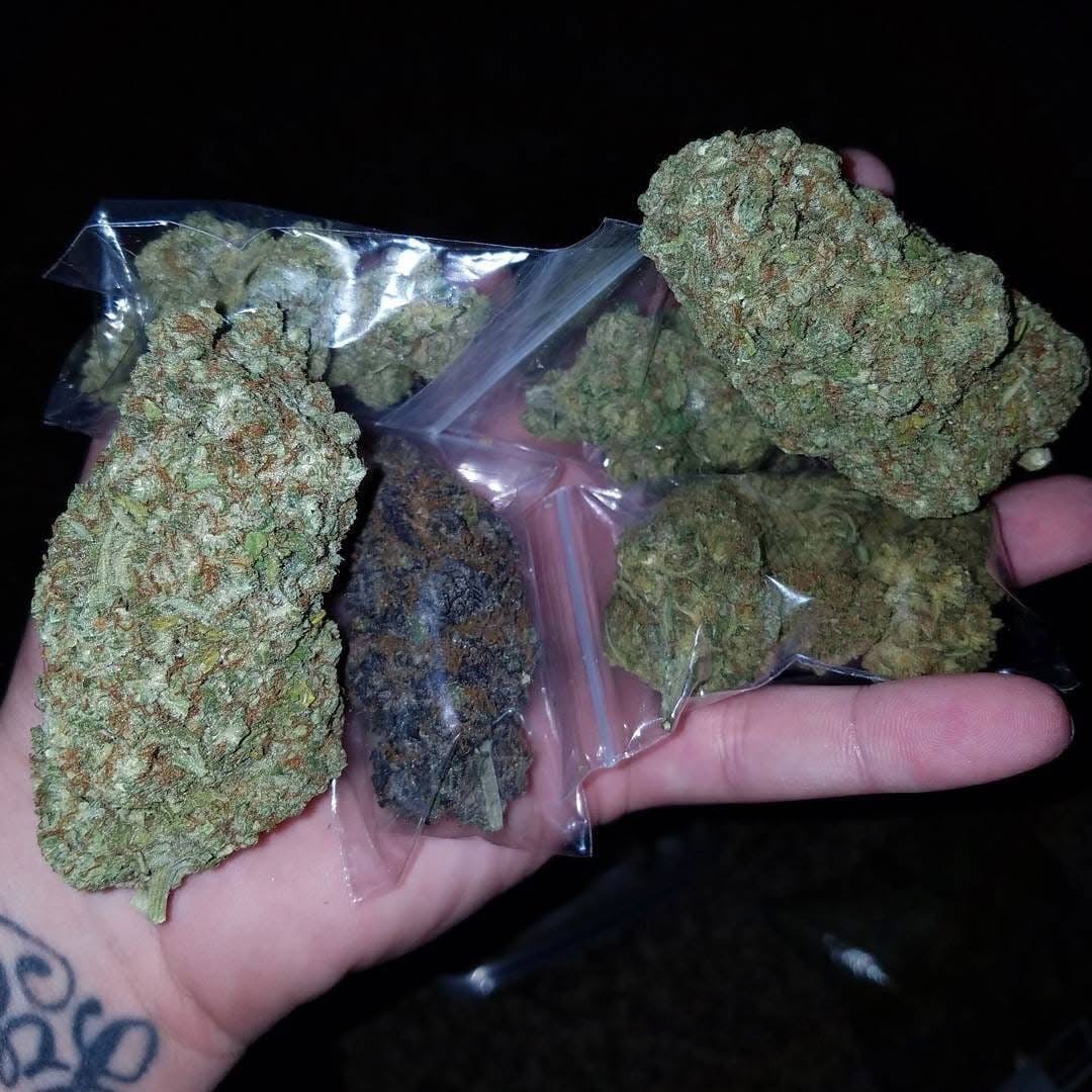 _StonersRUs_'s tweet photo. Big juicy nugs 🤤 https://t.co/rnLyEhwKfs