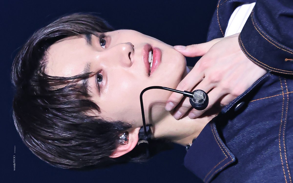 wonderWOO. tweet media