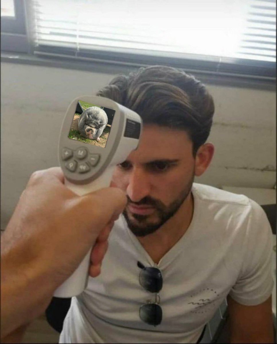 Diagnosis: Severe case of Pig Fever🐷
Only cure? More $NIKEPIG! <a href="/NikePig_ADA/">NikePig</a> 

👉Buy now: bit.ly/buynikepig