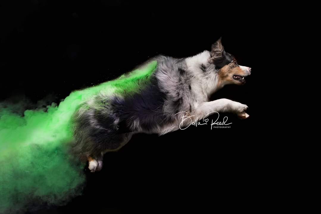 Flashback to a session I did out back with Obi and holi powder. My yard looked like it threw up Skittles by the time it was done.