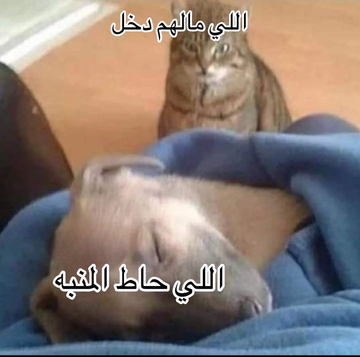 منصور (@i14nn) on Twitter photo 