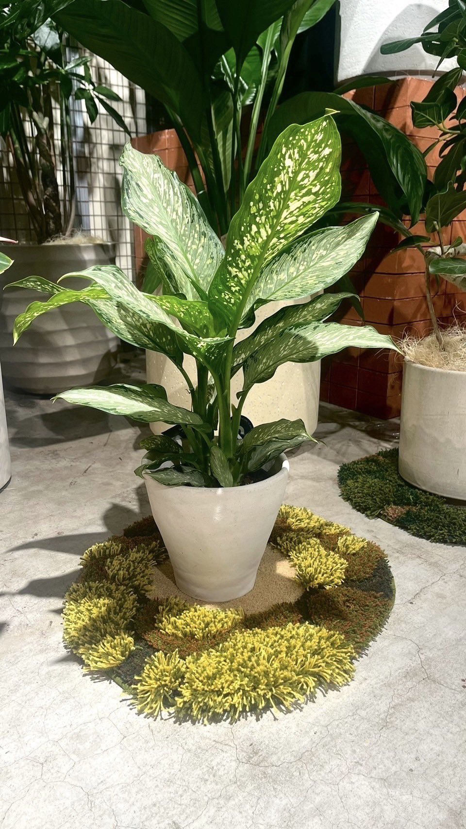 新品SOLSO HOME × MIYOSHI RUG 三好ラグ ミヨシラグ 【公式通販】