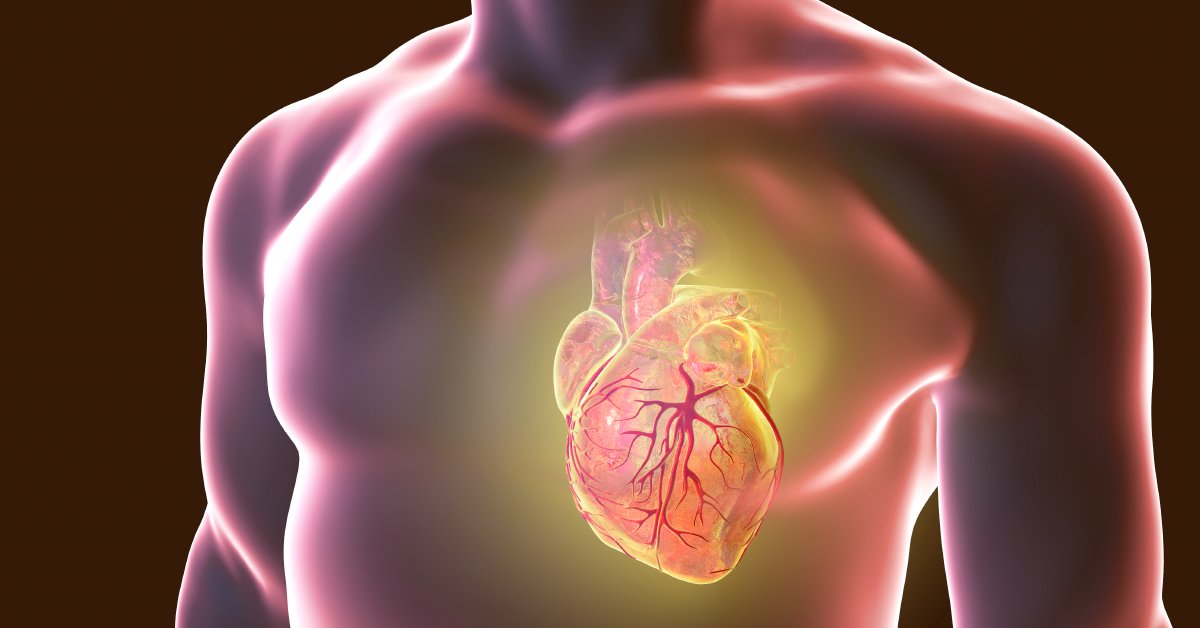 WebMD's tweet image. Research has shown that people at the highest risk for heart disease can lower their risk by as much as 80% by taking 7 simple preventive measures. Learn the steps: wb.md/3WfSrZc