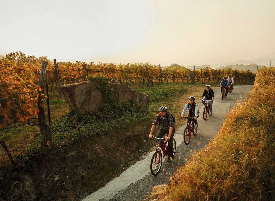 MENDRISIOTTO – Bike’n’Wine: tutti gli appuntamenti del 2025
tipsweek.ch/product/mendri…