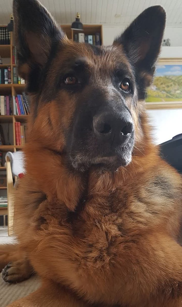 I know I'm not good looking so you won't love me💔🥲