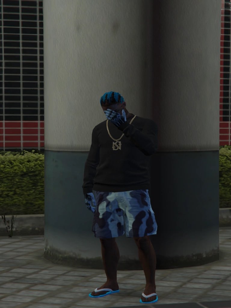 _davidsamuel21's tweet image. Azulou 🥶💙
#CapitalValley #GTARP