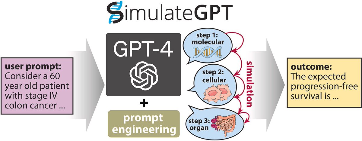 ai_tesseract's tweet photo. 🚨 OpenAI has developed an AI model to help extend human life. OpenAI just unveiled GPT-4B Micro and it’s smaller and faster— and it’s revolutionizing longevity science, healthcare, and how we approach aging itself.

OpenAI’s development of GPT-4B Micro isn’t just about technical efficiency; it’s about making AI an accessible, global tool for solving humanity’s greatest challenges, including aging.

Here’s everything you need to know about how it works and why it matters. 🧵