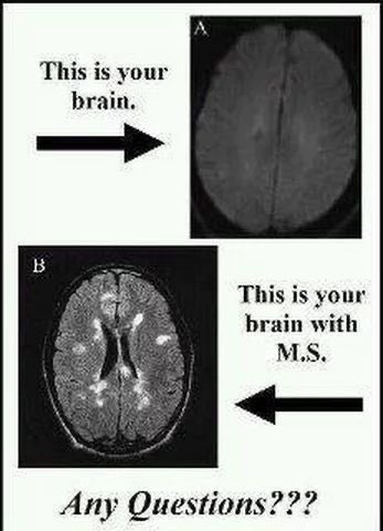 Must Stop MS! tweet media