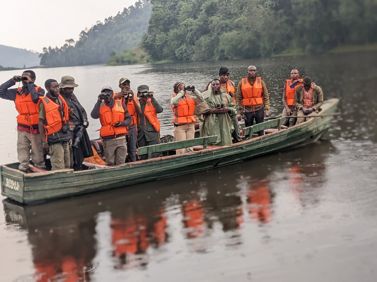 In Collaboration with Nature Rwanda  we  are pleased to contribute International Waterbird Counting 2025 while Atlassing  BirdMap in Lake Karago, Rugezi Marshland and Nyabarongo River.

Today Counting at Rugezi Marsh recorded more than 50 species include migrantory birds.