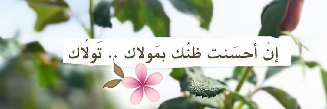 salah salah (@salahsa88315289) on Twitter photo 