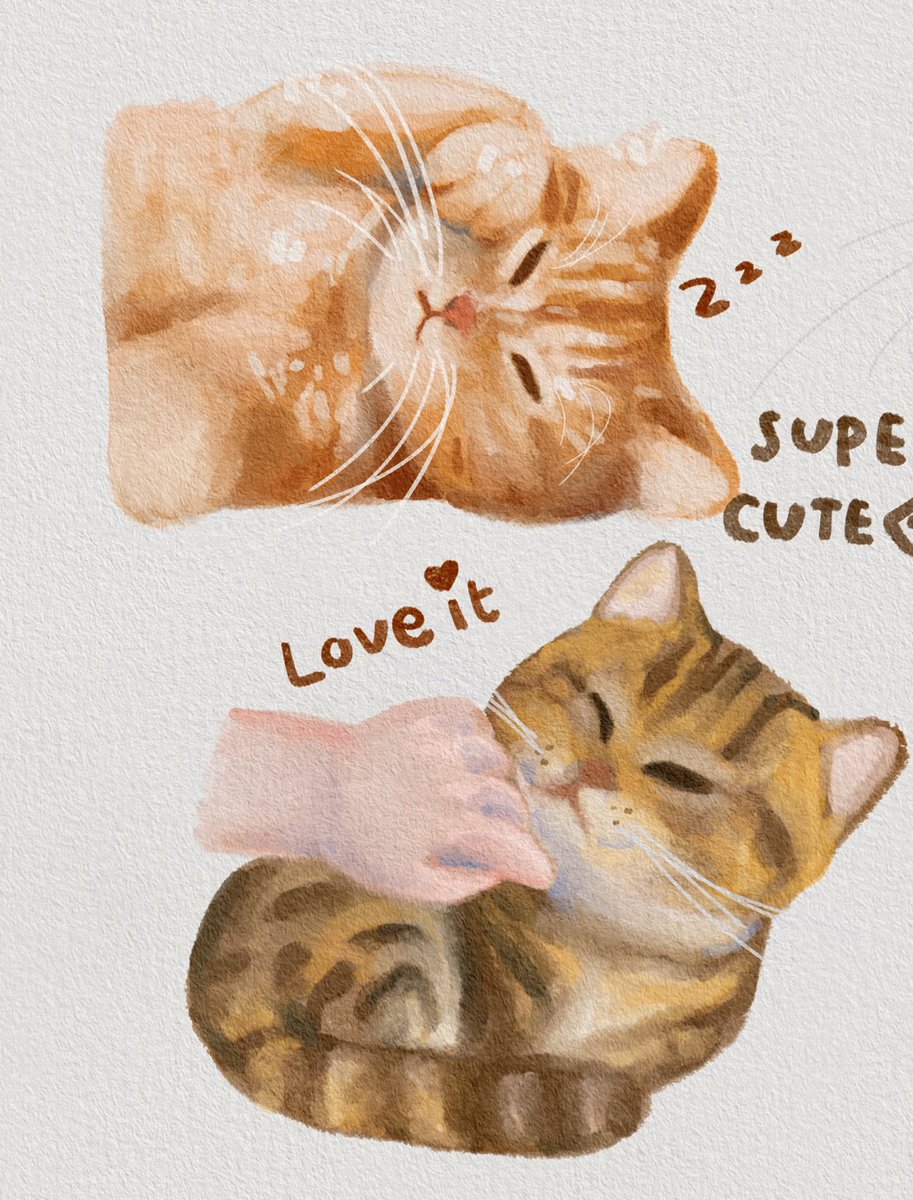 น้อนนนนนนนน