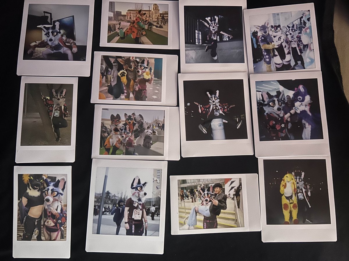 Tullow7 🔜 FWA (@tullow7) on Twitter photo Here is my Scrapbook for the con except for a few pics of people's faces :3 Most pics taken by <a href="/fusil_cat/">Fusil</a> and <a href="/Malykma/">Benjoh➡️ AC</a>
Nice meeting all you amazing people
<a href="/Cyndercidee/">🍁🏂 EARS COUNT 😷🇨🇦</a> <a href="/StellarAntares/">Antares ✈️</a> <a href="/CassiusF0x/">CASSIUS</a> <a href="/mooderana/">Hyån</a> <a href="/TheFowlerWolf/">Fowler 🐾</a> <a href="/comet_coyote/">Comet 🔜 MP</a> <a href="/Zephyr_Jackal/">▫️🔸Zephyr ◾️🔶 🔜 FWA</a> <a href="/SynthwaveWolfy/">Chase 🔜 MP</a> <a href="/Su_Shii/">🍣𝙎𝙐𝙎𝙃𝙄𝙄</a> Here is my Scrapbook for the con except for a few pics of people's faces :3 Most pics taken by <a href="/fusil_cat/">Fusil</a> and <a href="/Malykma/">Benjoh➡️ AC</a>
Nice meeting all you amazing people
<a href="/Cyndercidee/">🍁🏂 EARS COUNT 😷🇨🇦</a> <a href="/StellarAntares/">Antares ✈️</a> <a href="/CassiusF0x/">CASSIUS</a> <a href="/mooderana/">Hyån</a> <a href="/TheFowlerWolf/">Fowler 🐾</a> <a href="/comet_coyote/">Comet 🔜 MP</a> <a href="/Zephyr_Jackal/">▫️🔸Zephyr ◾️🔶 🔜 FWA</a> <a href="/SynthwaveWolfy/">Chase 🔜 MP</a> <a href="/Su_Shii/">🍣𝙎𝙐𝙎𝙃𝙄𝙄</a>