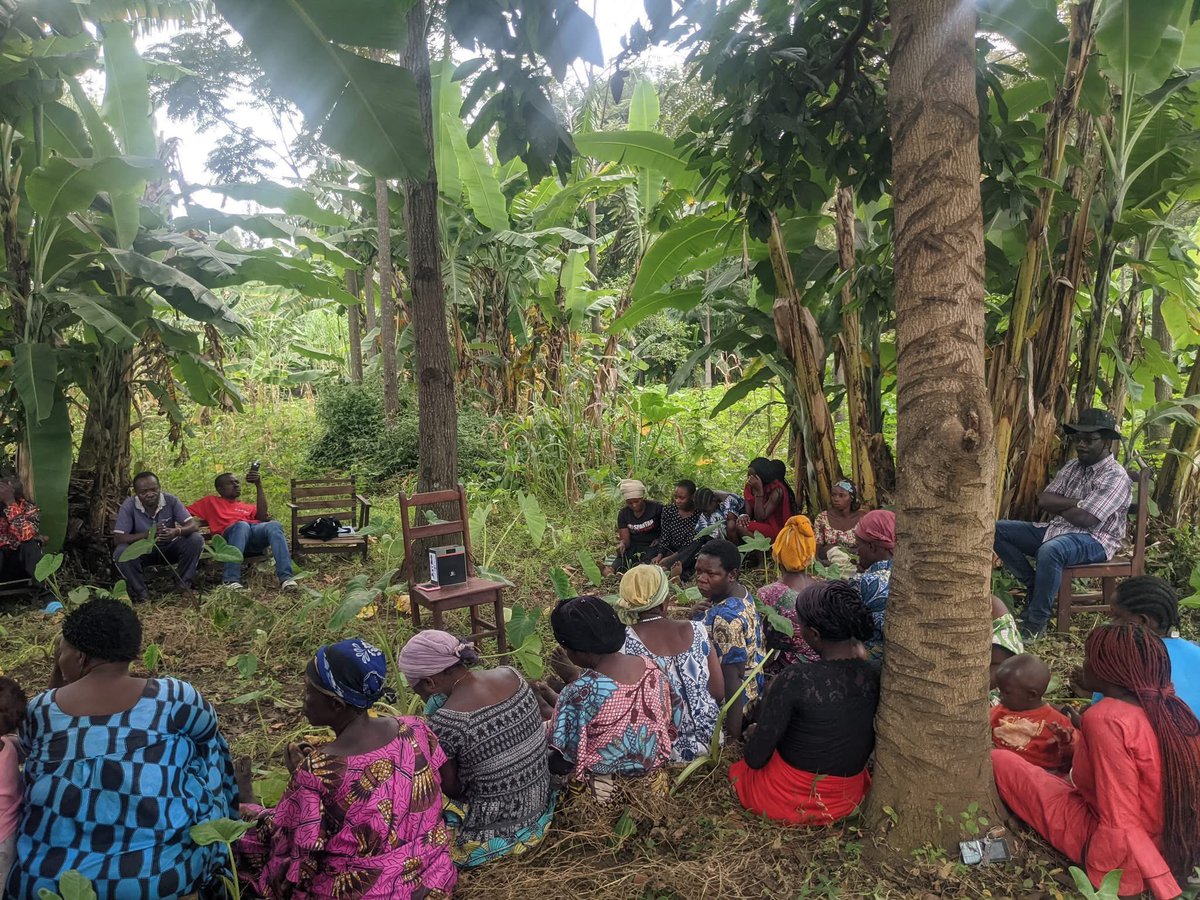 jamboradio2's tweet photo. Au #Nord_Kivu, l’un de nos clubs d’auditeurs se réunissant pour une session spéciale d’écoute et de débat autour de notre #podcast fact-checking sur l’impact de l’exploitation pétrolière en Afrique : ses enjeux économiques et les alternatives durables face à la crise climatique… https://t.co/ToswwC7ohV
