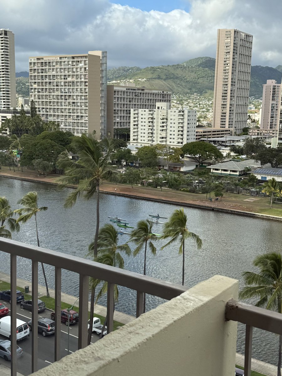 하와이 왔어요 알로하 ~ 🌺