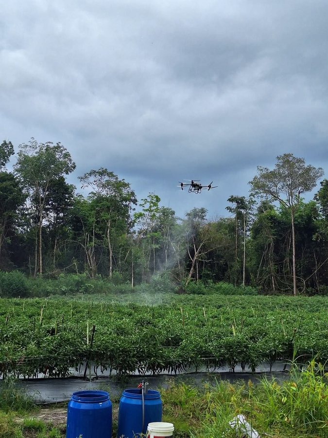 AgriShare_UG's tweet image. Next-level farming with the Agrishare App!
Hire agriculture drones for efficient crop spraying.

✅ Perfect crop protection
✅ Improved management
✅ Hassle-free hire

Empower your farm with technology. Download Agrishare now! 📲

#AgriTech #DroneFarming #AgrishareSolutions