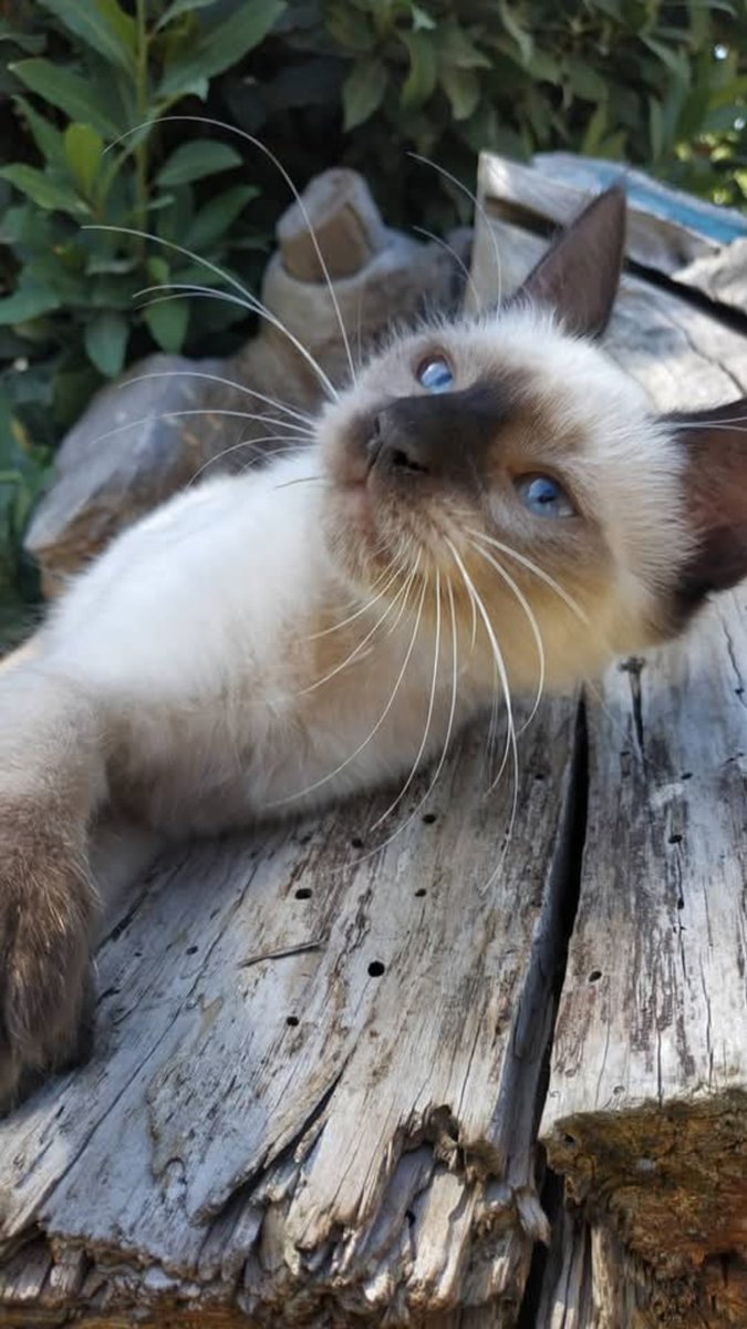 Patricia Fabeiro tweet media