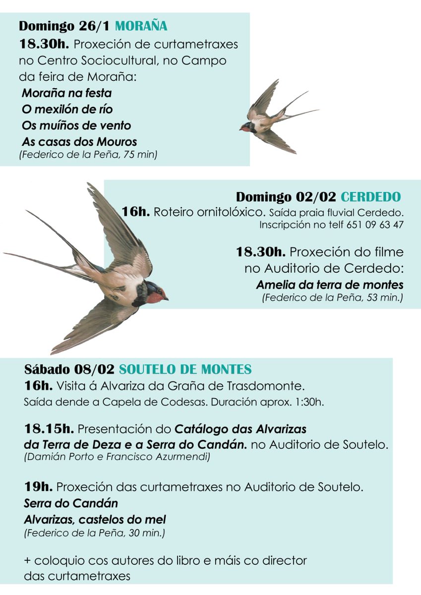 🐦 E, despois da andaina, o ciclo 'Cinema na Candeloria' comeza este sábado 26 de xaneiro ás 18:30, no centro sociocultural de Moraña, coa proxección de 4 curtametraxes de Federico de la Peña.
🎞️ Programación dos 3 días: