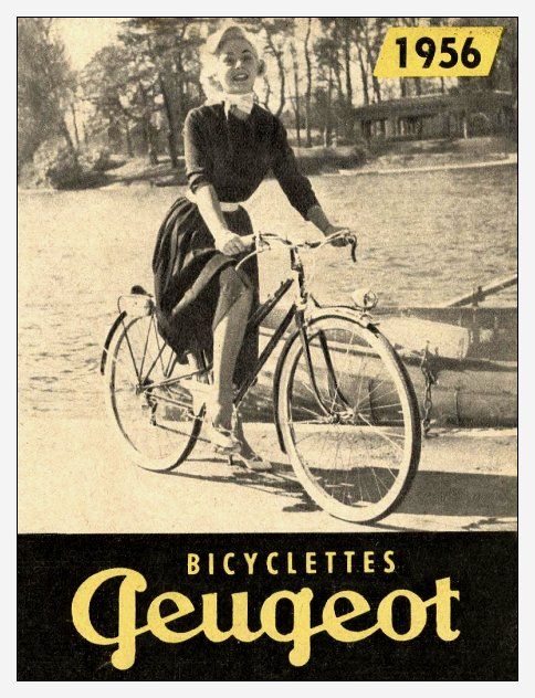 Art Cycles tweet media