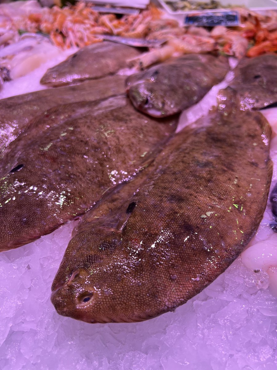 mercatdelesseps's tweet image. 🐟 A la Peixateria Maribel trobaràs els llenguados frescos i de gran qualitat. 🌿

🙌 La Maribel t’ajuda a estalviar temps: et prepara el llenguado llest per cuinar com tu vulguis. Ja sigui a la planxa, al forn o arrebossat, serà tot un èxit a taula. 🍽️

#PeixFresc #Llenguado