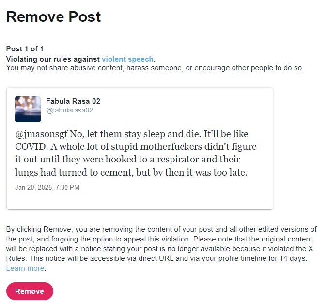 fabularasa02's tweet image. The owner of Twitter is out here doing full-on Nazi salutes in a stadium full of people, but I say to go ahead and let stupid motherfuckers d i e of their own stupidity and I have to take it down? 
Very cool and normal website 🙄