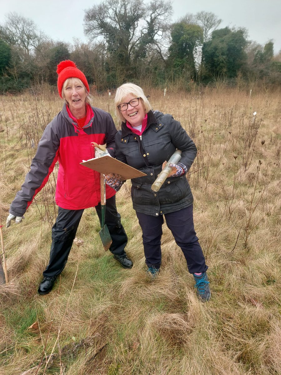 Andover Trees United tweet media